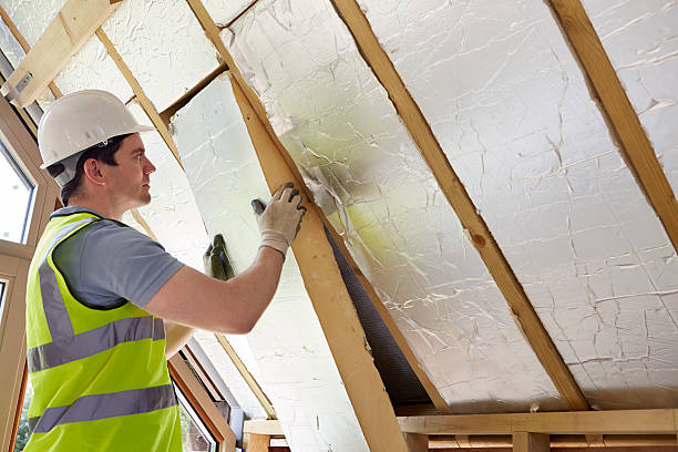 Best Geographic-Specific Insulation Services in Joppatowne, MD