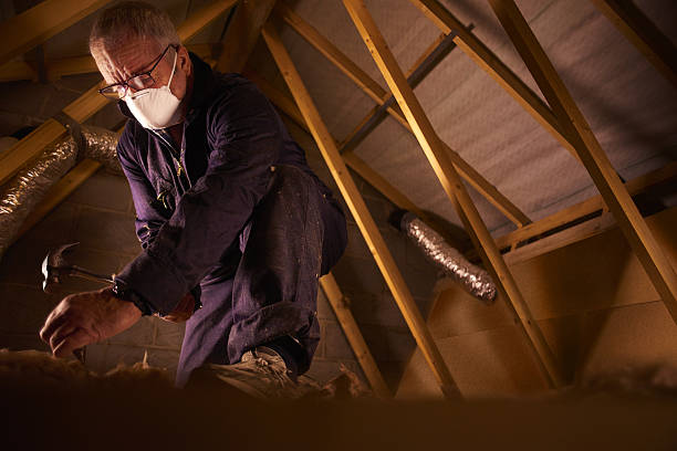 Trusted Joppatowne, MD Insulation Contractor Experts